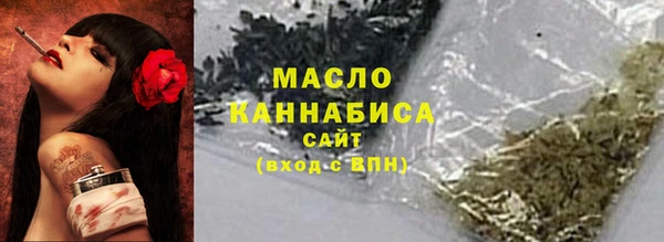 гашик Пестово