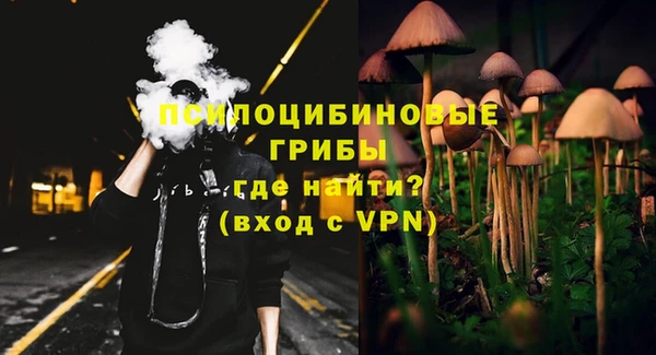 ПСИЛОЦИБИНОВЫЕ ГРИБЫ Пересвет
