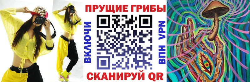 Галлюциногенные грибы мицелий мега зеркало Кандалакша